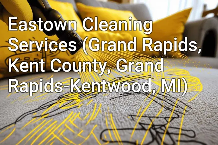 Eastown Cleaning Services (Grand Rapids, Kent County, Grand Rapids-Kentwood, MI)