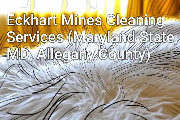 Eckhart Mines Cleaning Services (Maryland State, MD, Allegany County)