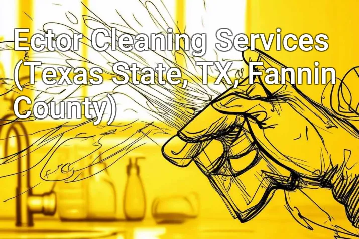 Ector Cleaning Services (Texas State, TX, Fannin County)
