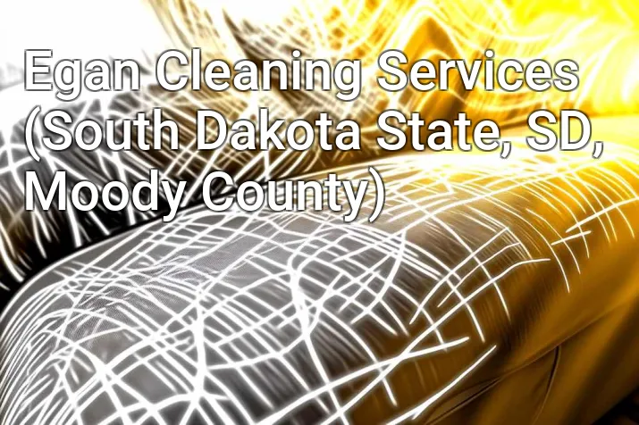 Egan Cleaning Services (South Dakota State, SD, Moody County)