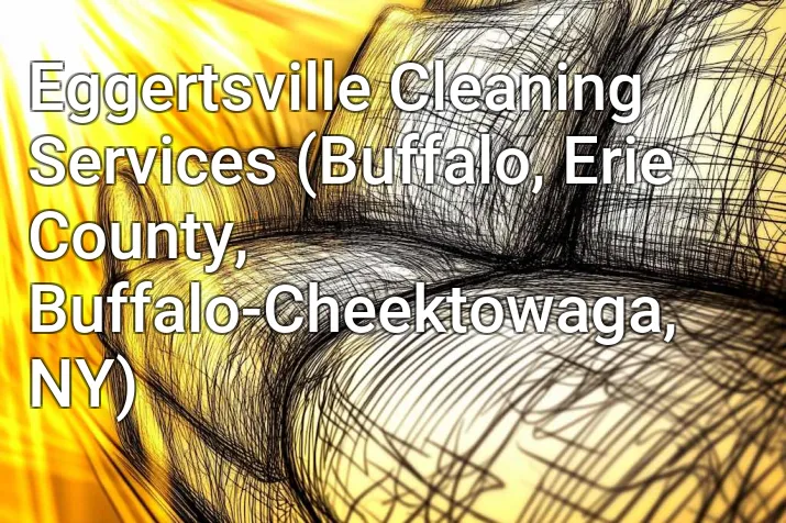 Eggertsville Cleaning Services (Buffalo, Erie County, Buffalo-Cheektowaga, NY)