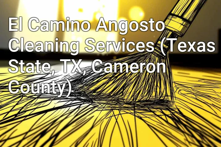 El Camino Angosto Cleaning Services (Texas State, TX, Cameron County)