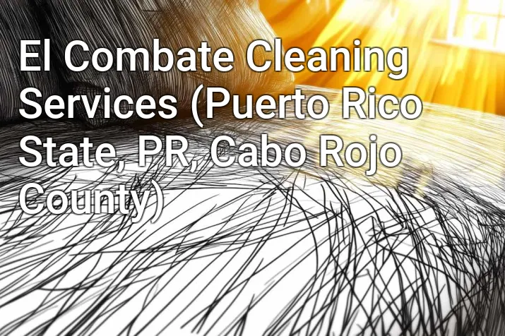 El Combate Cleaning Services (Puerto Rico State, PR, Cabo Rojo County)