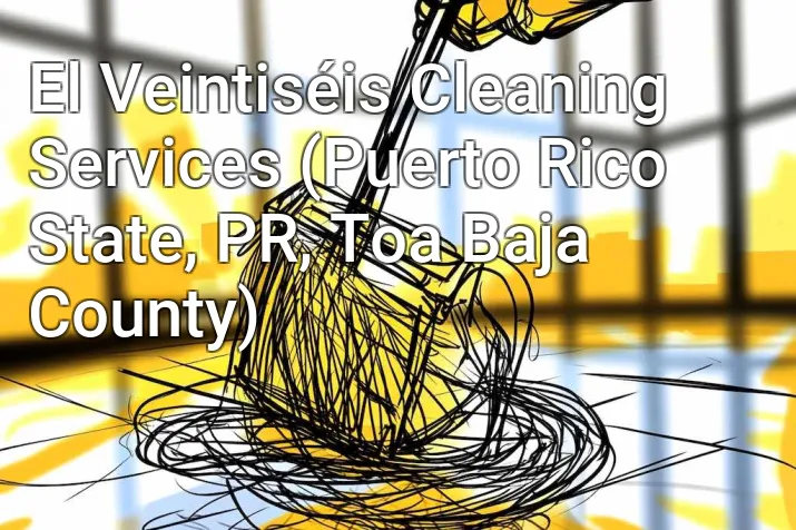 El Veintiséis Cleaning Services (Puerto Rico State, PR, Toa Baja County)