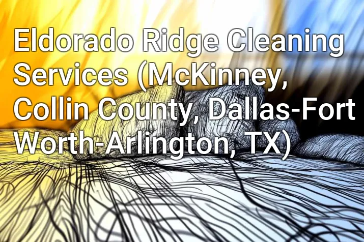 Eldorado Ridge Cleaning Services (McKinney, Collin County, Dallas-Fort Worth-Arlington, TX)