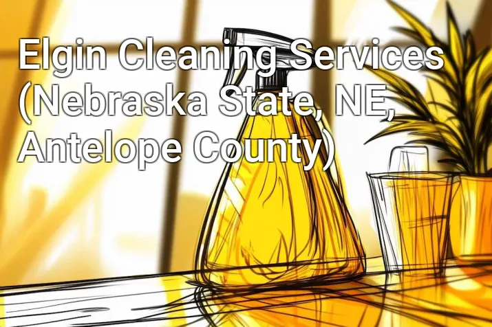 Elgin Cleaning Services (Nebraska State, NE, Antelope County)