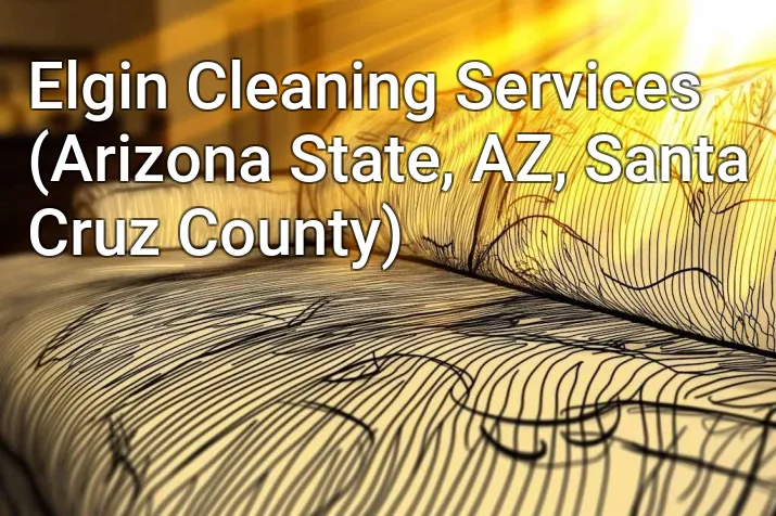 Elgin Cleaning Services (Arizona State, AZ, Santa Cruz County)