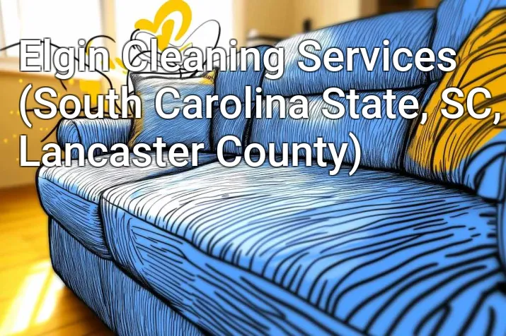 Elgin Cleaning Services (South Carolina State, SC, Lancaster County)