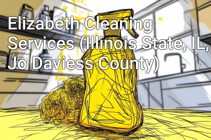 Elizabeth Cleaning Services (Illinois State, IL, Jo Daviess County)