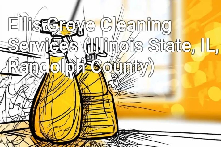 Ellis Grove Cleaning Services (Illinois State, IL, Randolph County)