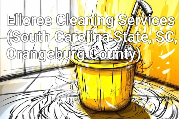 Elloree Cleaning Services (South Carolina State, SC, Orangeburg County)