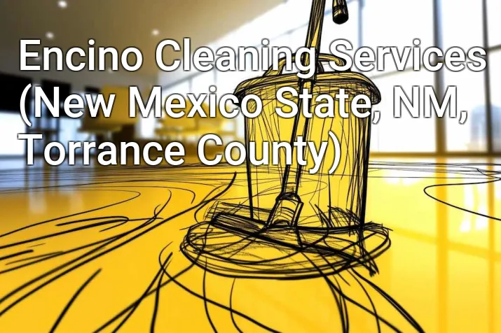 Encino Cleaning Services (New Mexico State, NM, Torrance County)