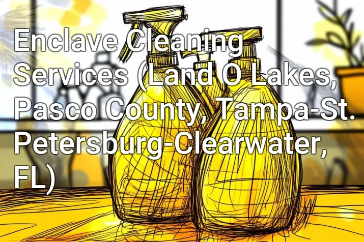 Enclave Cleaning Services (Land O Lakes, Pasco County, Tampa-St. Petersburg-Clearwater, FL)