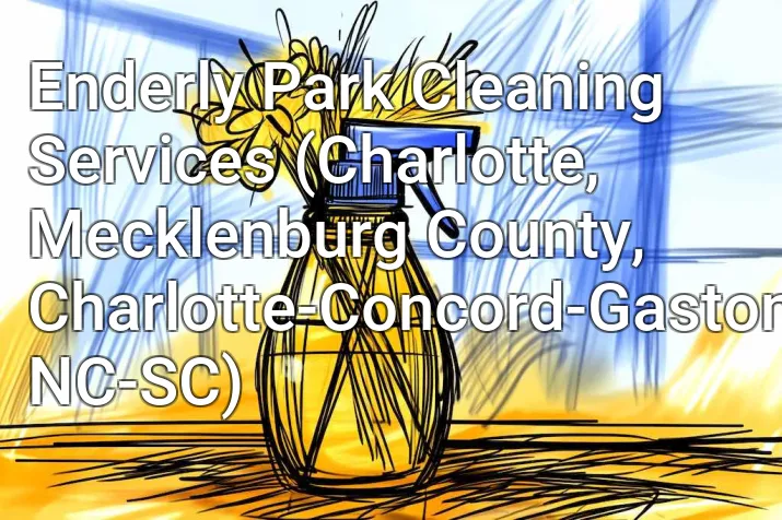 Enderly Park Cleaning Services (Charlotte, Mecklenburg County, Charlotte-Concord-Gastonia, NC-SC)