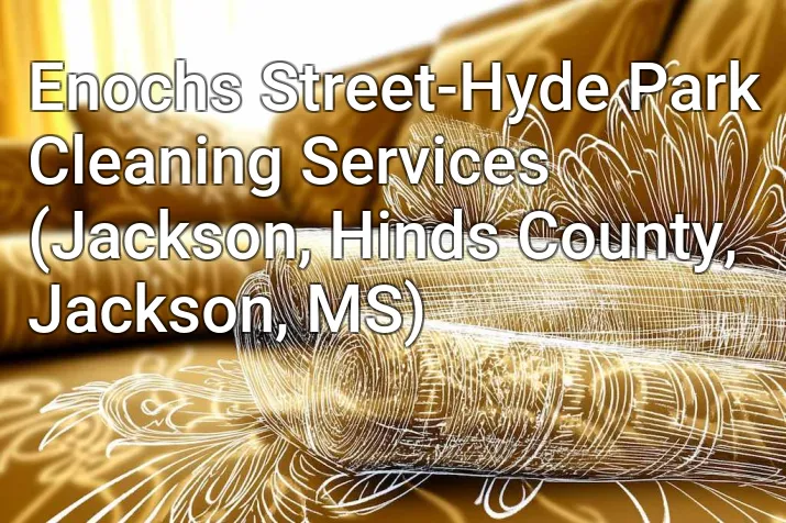Enochs Street-Hyde Park Cleaning Services (Jackson, Hinds County, Jackson, MS)