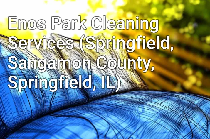 Enos Park Cleaning Services (Springfield, Sangamon County, Springfield, IL)