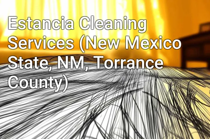 Estancia Cleaning Services (New Mexico State, NM, Torrance County)