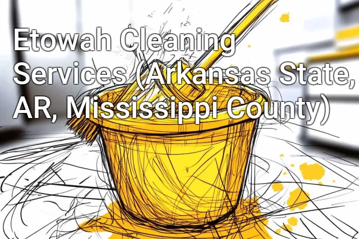 Etowah Cleaning Services (Arkansas State, AR, Mississippi County)