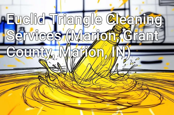 Euclid Triangle Cleaning Services (Marion, Grant County, Marion, IN)