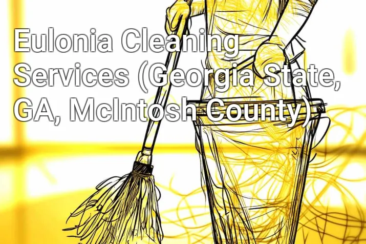 Eulonia Cleaning Services (Georgia State, GA, McIntosh County)