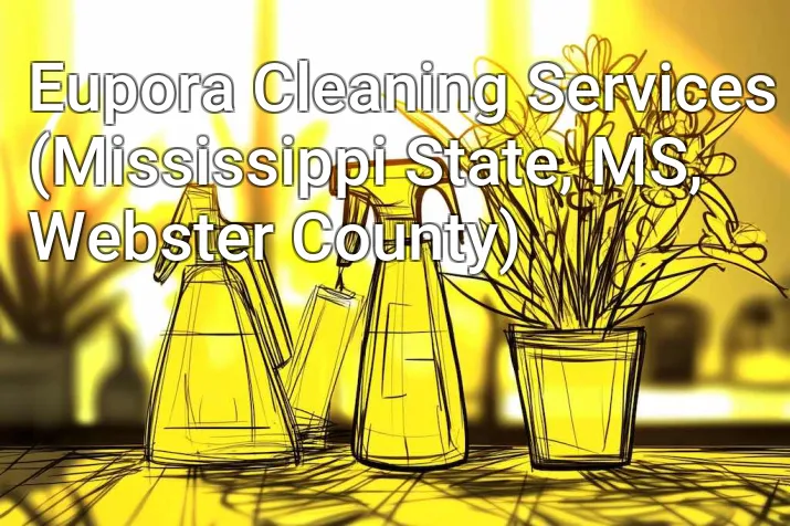 Eupora Cleaning Services (Mississippi State, MS, Webster County)
