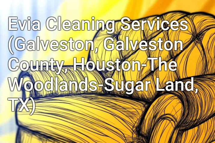 Evia Cleaning Services (Galveston, Galveston County, Houston-The Woodlands-Sugar Land, TX)