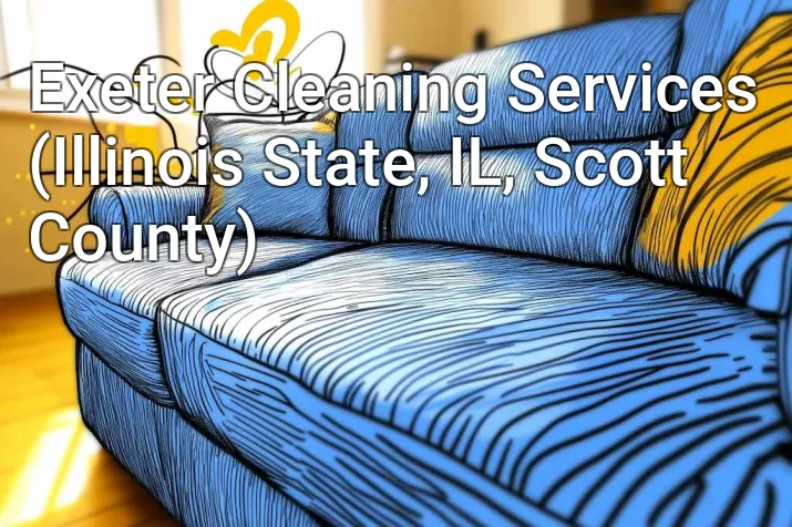Exeter Cleaning Services (Illinois State, IL, Scott County)