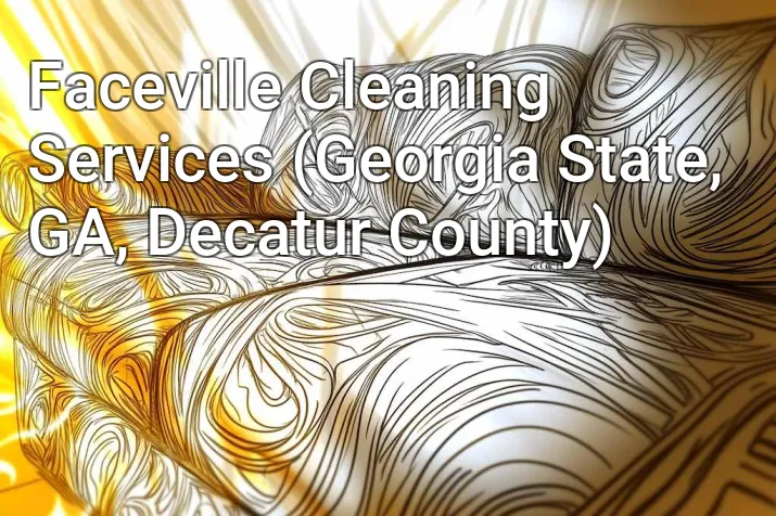 Faceville Cleaning Services (Georgia State, GA, Decatur County)