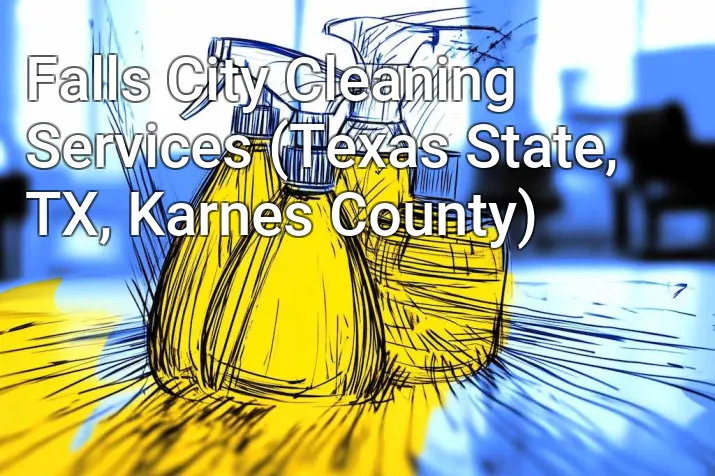 Falls City Cleaning Services (Texas State, TX, Karnes County)
