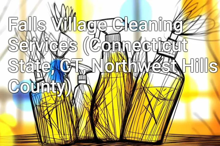 Falls Village Cleaning Services (Connecticut State, CT, Northwest Hills County)
