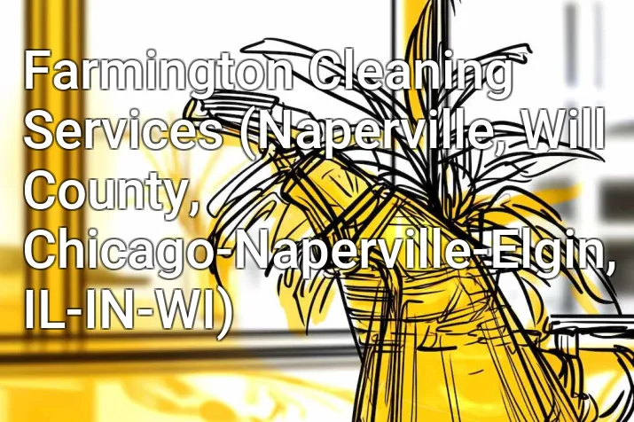Farmington Cleaning Services (Naperville, Will County, Chicago-Naperville-Elgin, IL-IN-WI)
