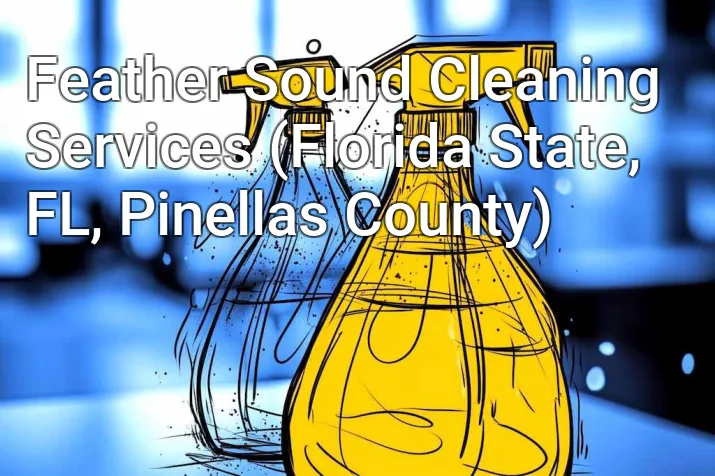 Feather Sound Cleaning Services (Florida State, FL, Pinellas County)