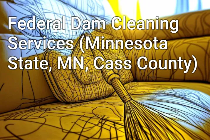 Federal Dam Cleaning Services (Minnesota State, MN, Cass County)