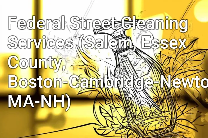 Federal Street Cleaning Services (Salem, Essex County, Boston-Cambridge-Newton, MA-NH)