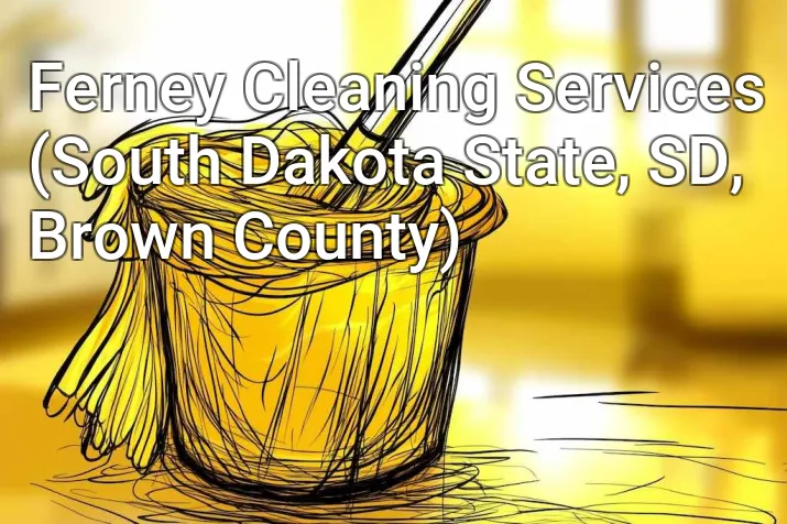 Ferney Cleaning Services (South Dakota State, SD, Brown County)
