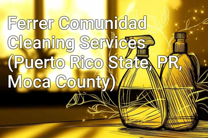 Ferrer Comunidad Cleaning Services (Puerto Rico State, PR, Moca County)