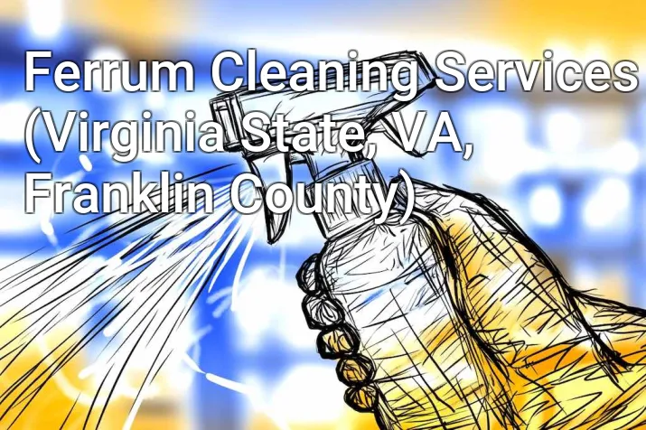 Ferrum Cleaning Services (Virginia State, VA, Franklin County)