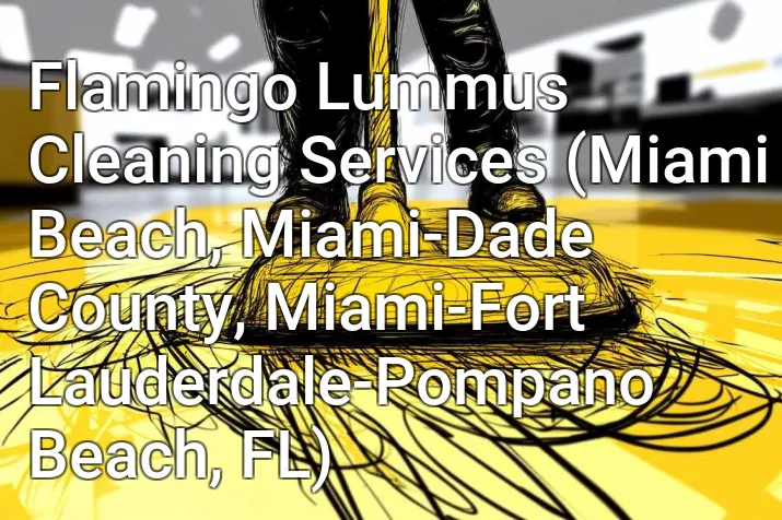 Flamingo Lummus Cleaning Services (Miami Beach, Miami-Dade County, Miami-Fort Lauderdale-Pompano Beach, FL)