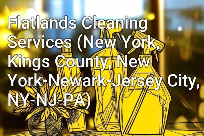 Flatlands Cleaning Services (New York, Kings County, New York-Newark-Jersey City, NY-NJ-PA)