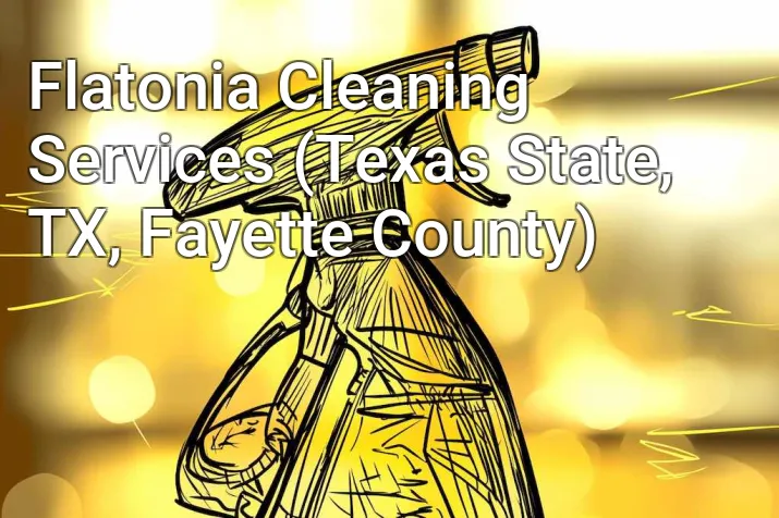 Flatonia Cleaning Services (Texas State, TX, Fayette County)