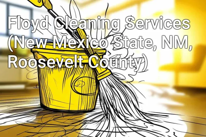Floyd Cleaning Services (New Mexico State, NM, Roosevelt County)