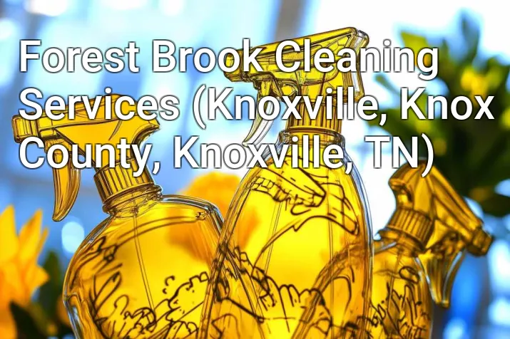 Forest Brook Cleaning Services (Knoxville, Knox County, Knoxville, TN)