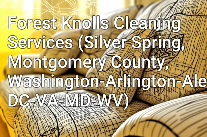 Forest Knolls Cleaning Services (Silver Spring, Montgomery County, Washington-Arlington-Alexandria, DC-VA-MD-WV)