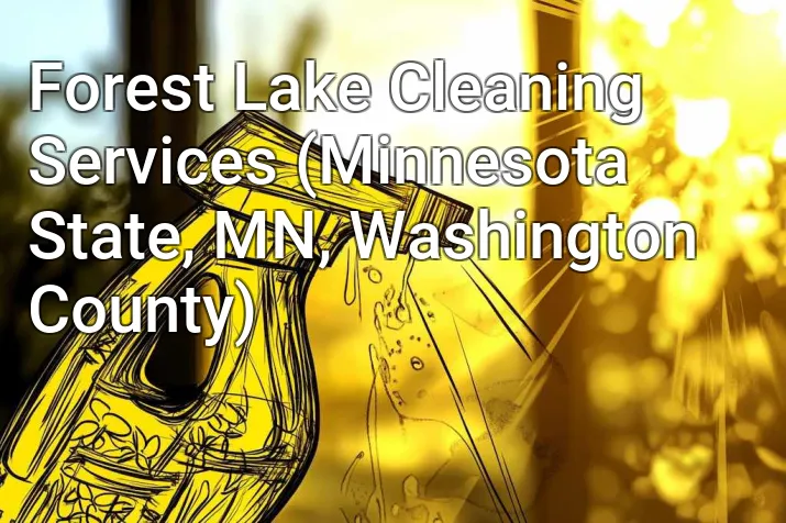 Forest Lake Cleaning Services (Minnesota State, MN, Washington County)