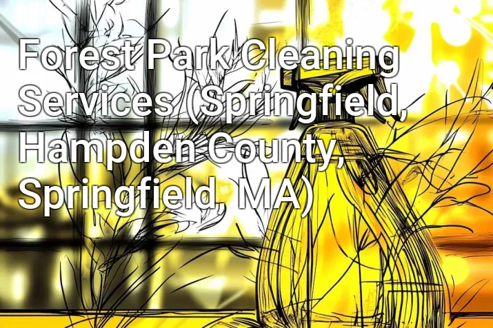 Forest Park Cleaning Services (Springfield, Hampden County, Springfield, MA)