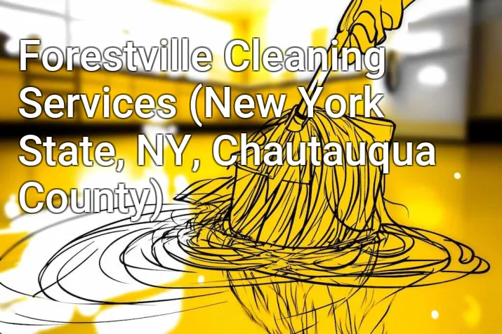 Forestville Cleaning Services (New York State, NY, Chautauqua County)
