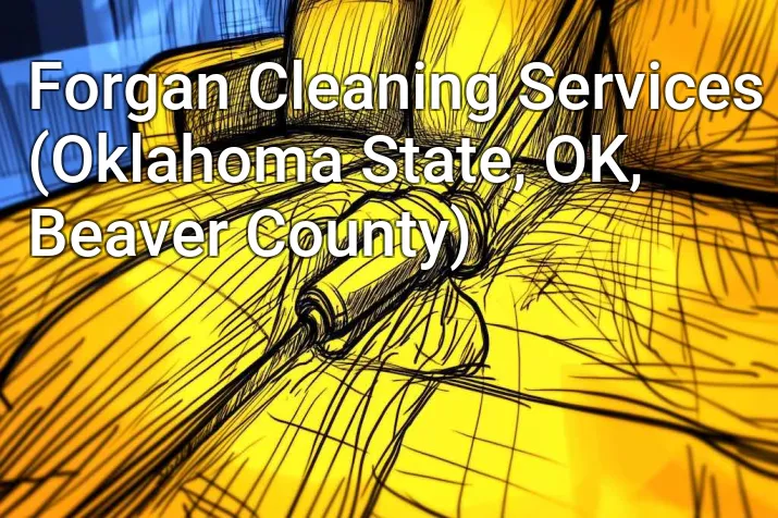Forgan Cleaning Services (Oklahoma State, OK, Beaver County)