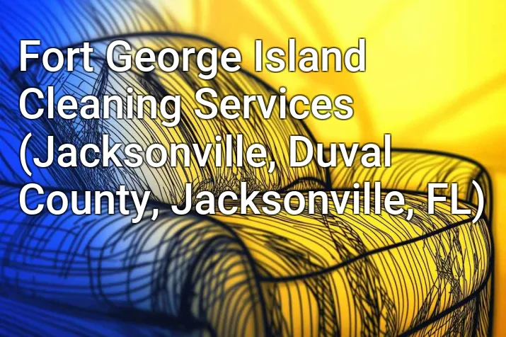 Fort George Island Cleaning Services (Jacksonville, Duval County, Jacksonville, FL)