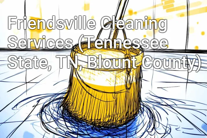 Friendsville Cleaning Services (Tennessee State, TN, Blount County)