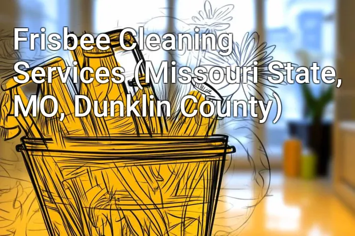 Frisbee Cleaning Services (Missouri State, MO, Dunklin County)